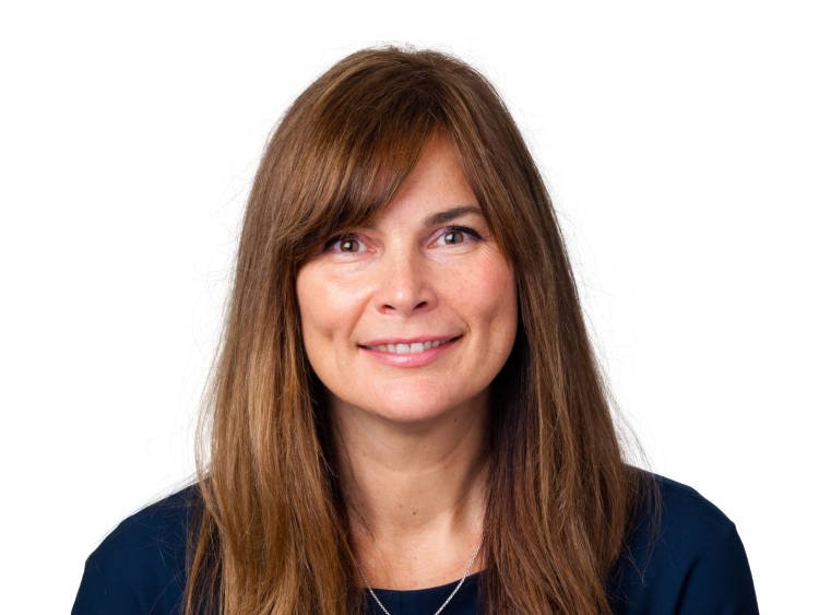 Steel Harriet Federated Hermes